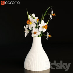Plant Daffodils in a vase 