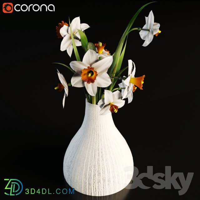 Plant Daffodils in a vase