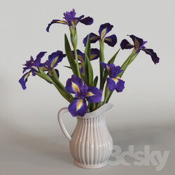 Irises 3D Models 