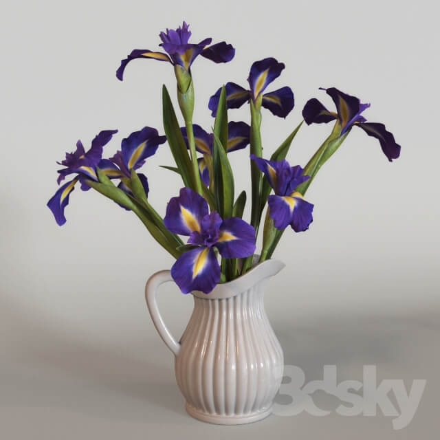 Irises 3D Models