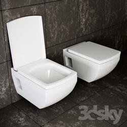 Washdown wall hung toilet AW 806 