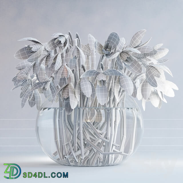Plant Snowdrops in a vase
