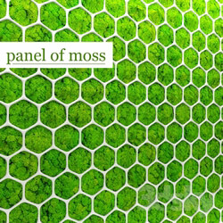 Stabilized moss. Panel 