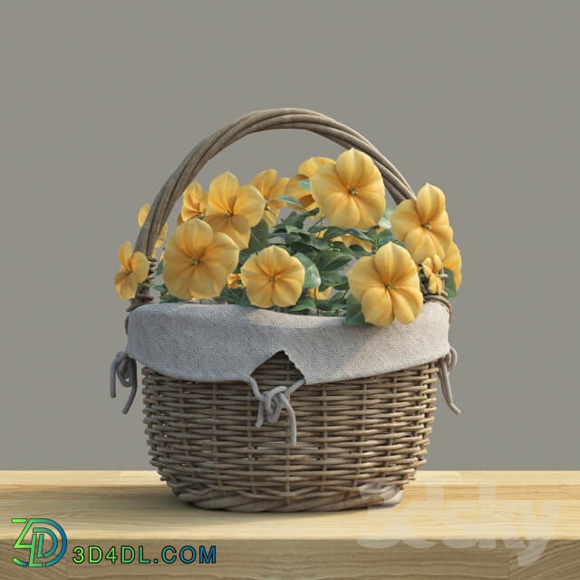 Plant Basket with flowers