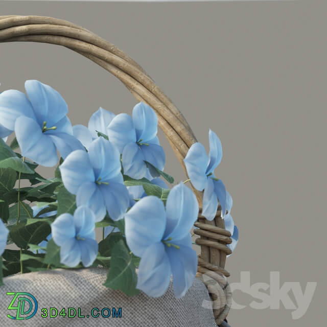 Plant Basket with flowers
