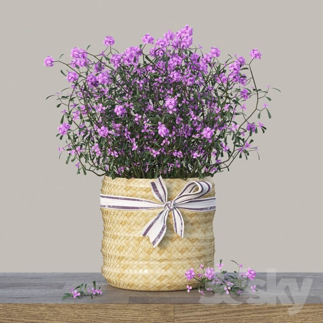 Plant Basket with tsvetami 02