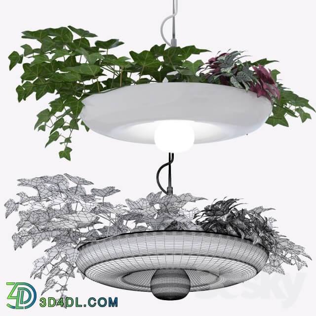 Babylon Plantable Lamp vol1 Indoor 3D Models