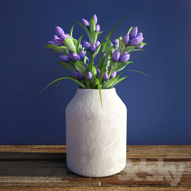 Plant Gentian flowers