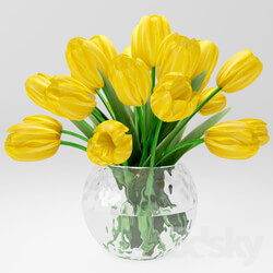Plant a bouquet of yellow tulips 