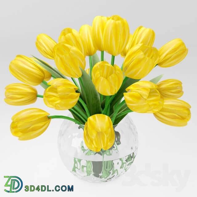 Plant a bouquet of yellow tulips