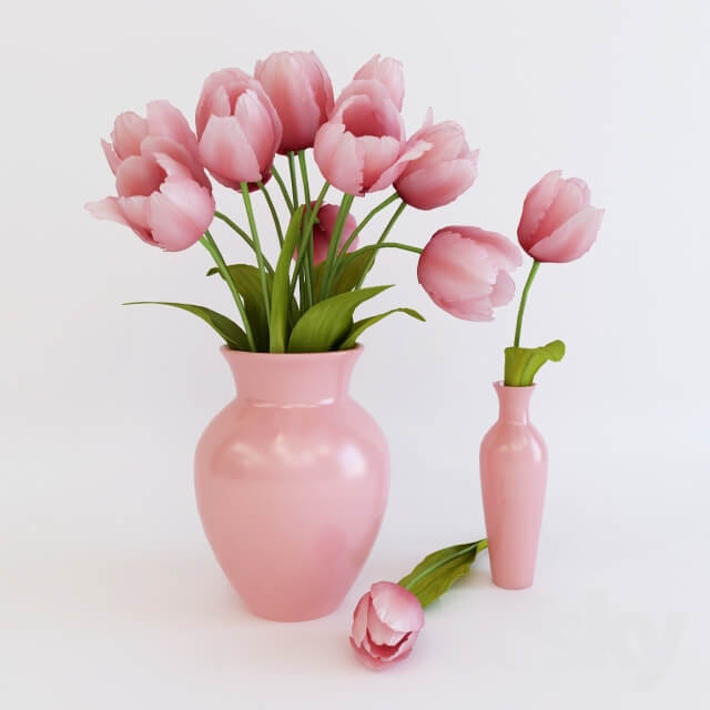 Plant Pink tulips