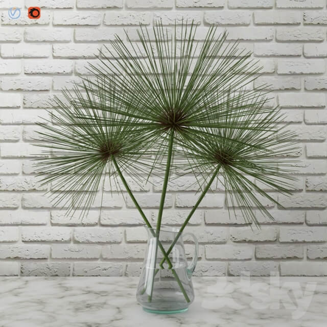 Cyperus papyrus Papyrus in a vase 3D Models