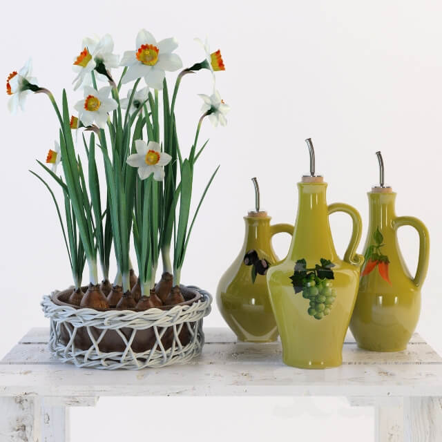 Daffodils Indoor 3D Models