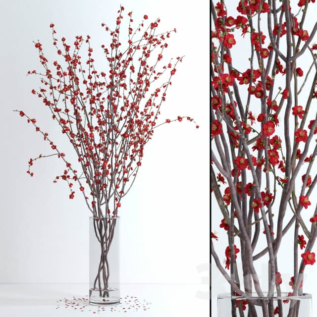 Prunus Red Blossom 3D Models