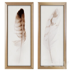 Feather Panel Framed Art Print 