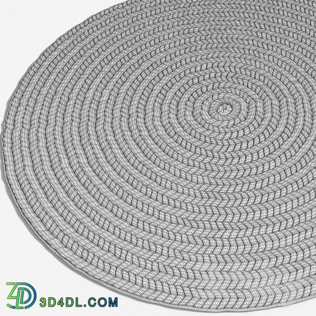 Braided rug 2