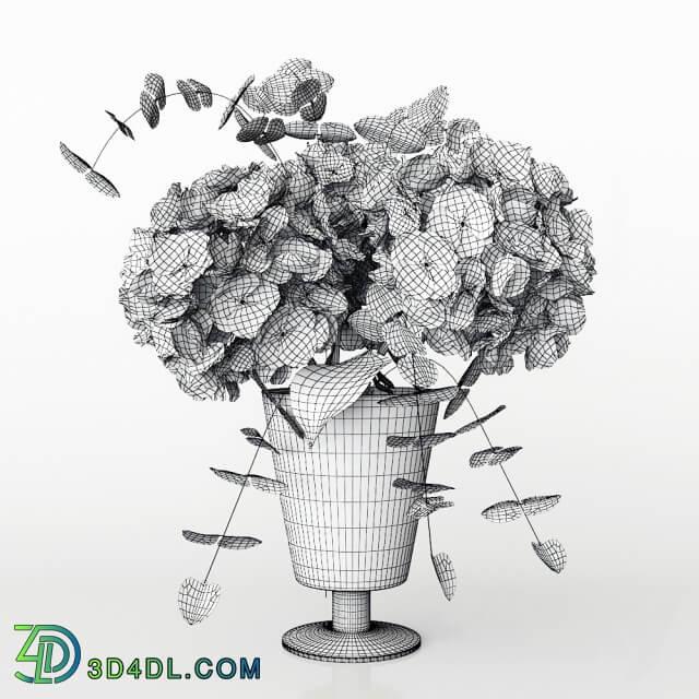 Hydrangea bouquet 3D Models