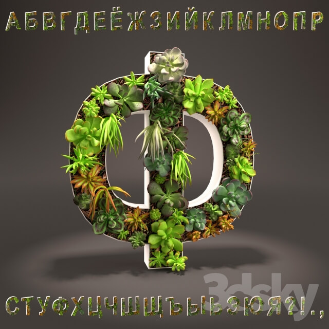 Plant Russian alphabet of sedum Russian alphabet from sedum