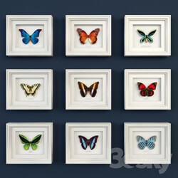 Decorative set of butterflies 