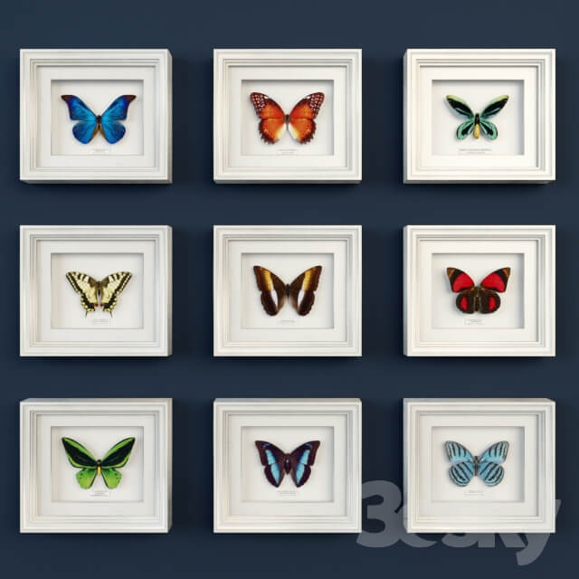 Decorative set of butterflies