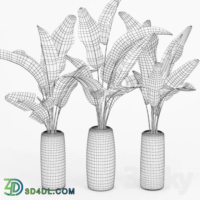 Plant Banana Palm Striped Tall Vase