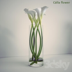 Calla Lilies in a vase 3D Models 