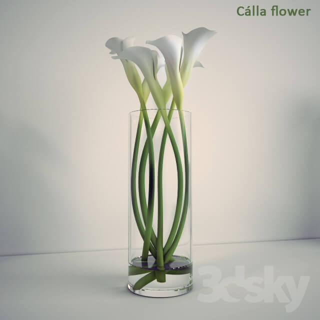 Calla Lilies in a vase 3D Models