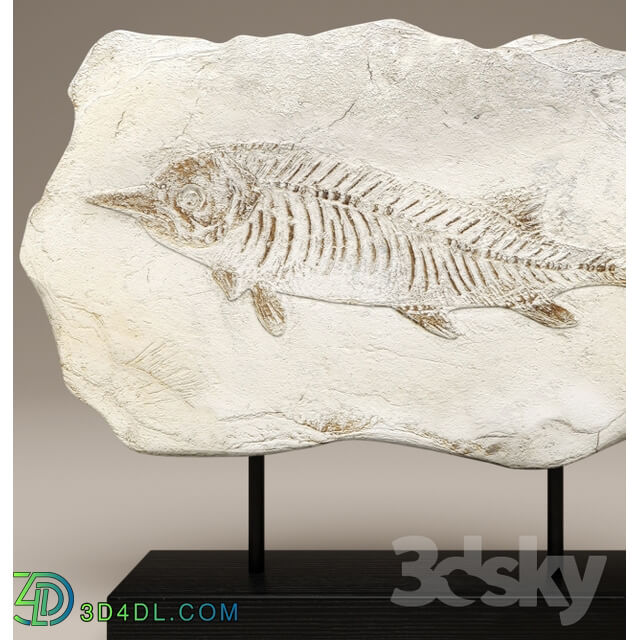 Reliquiae Table Figurine fossil figurine fish decor Other decorative objects 3D Models