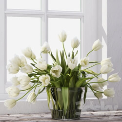 Tulips 3D Models 