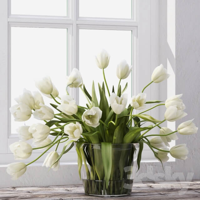 Tulips 3D Models