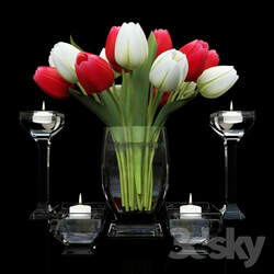 Bouquet of Tulips 2 3D Models 