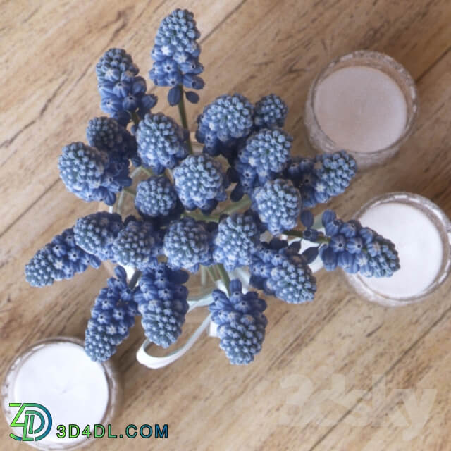 Muscari Hyacinthaceae Candle 3D Models