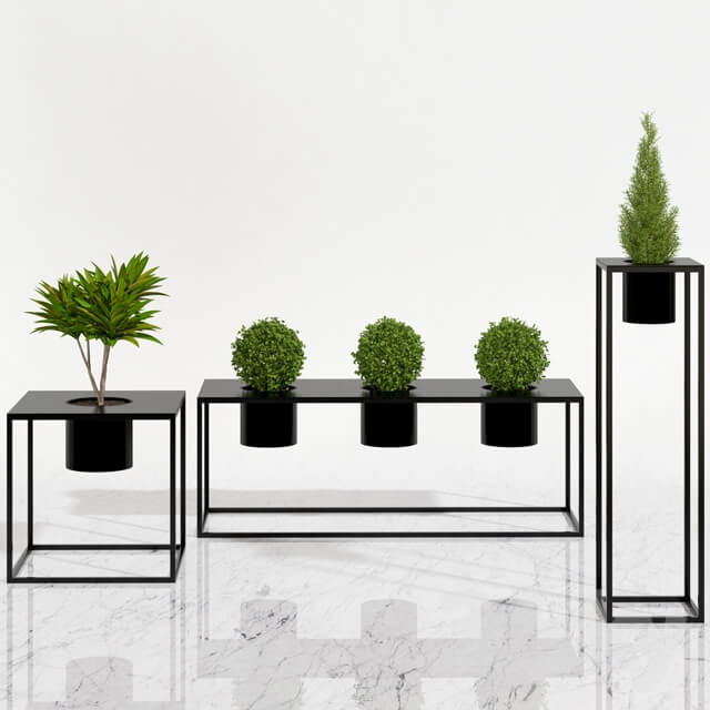 Potted plants 05 3D Models