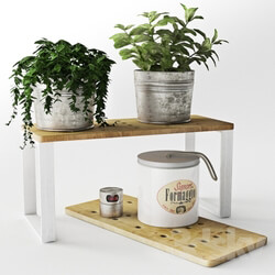 Plant set of decorative plants in metal buckets 