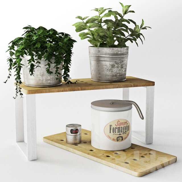 Plant set of decorative plants in metal buckets