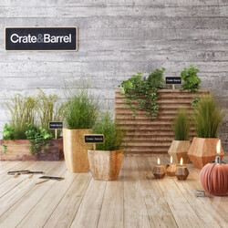 Plant Crate amp Barrel planter set 