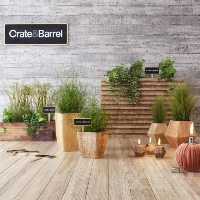 Plant Crate amp Barrel planter set