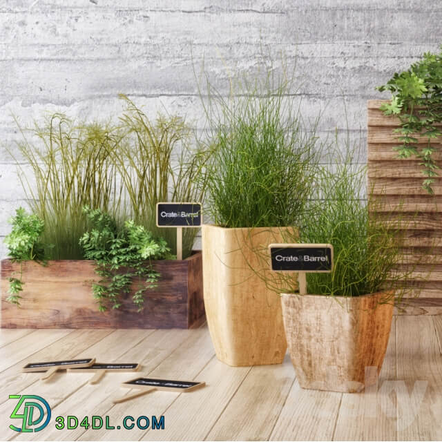 Plant Crate amp Barrel planter set