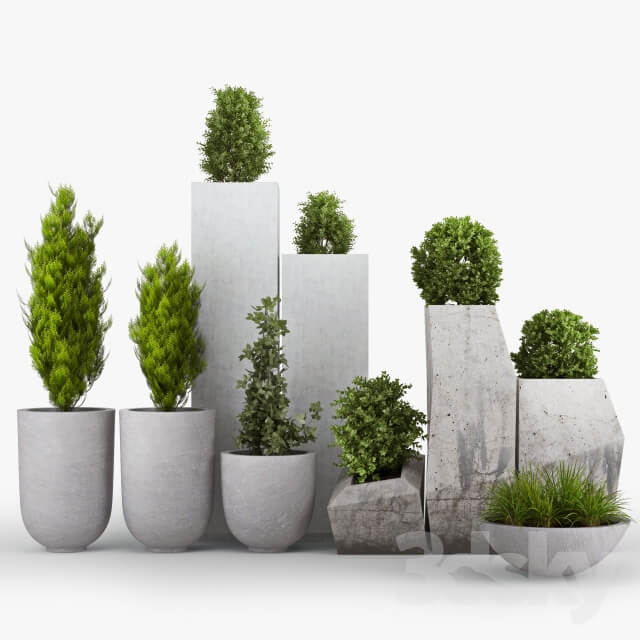 Plant Concrete Plant Set