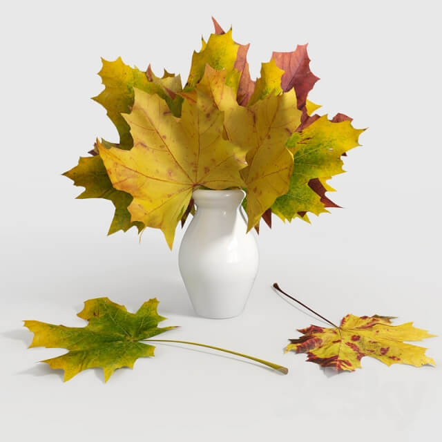 Other decorative objects Maple leaves in a vase