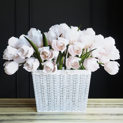 Plant Tulips in the basket 