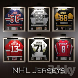 Hockey jerseys NHL stars 