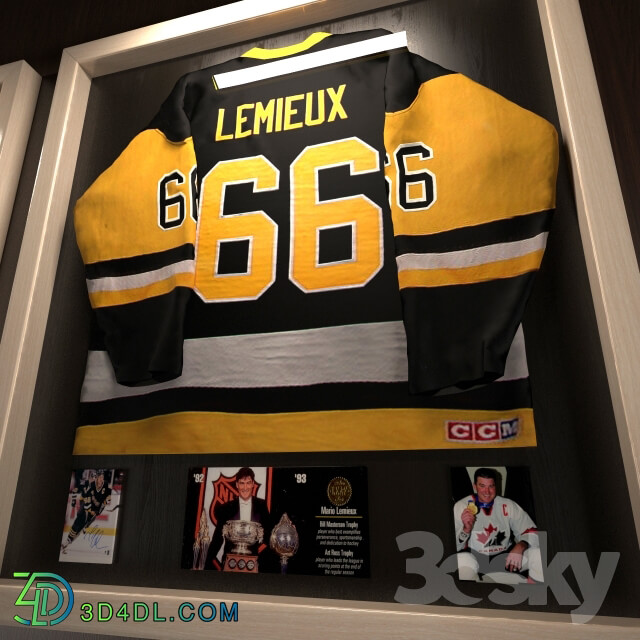 Hockey jerseys NHL stars