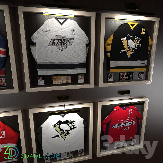 Hockey jerseys NHL stars