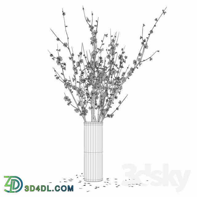 Plant Branches in a vase