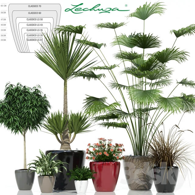 Plant Lechuza CLASSICO