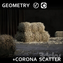 Straw bale GEOMETRY SCATTER  