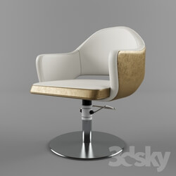 chair for beauty salon 
