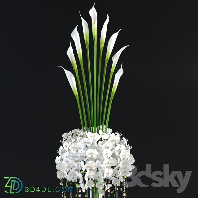 Plant tall bouquet in a glass vase