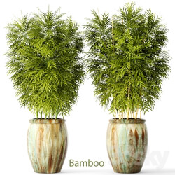 Plant Bamboo set 